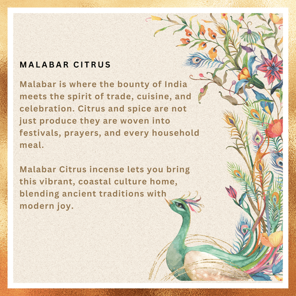 Amreeya Rasa Veda Collection – Malabar Citrus Premium Masala Incense Sticks - Pack of 2
