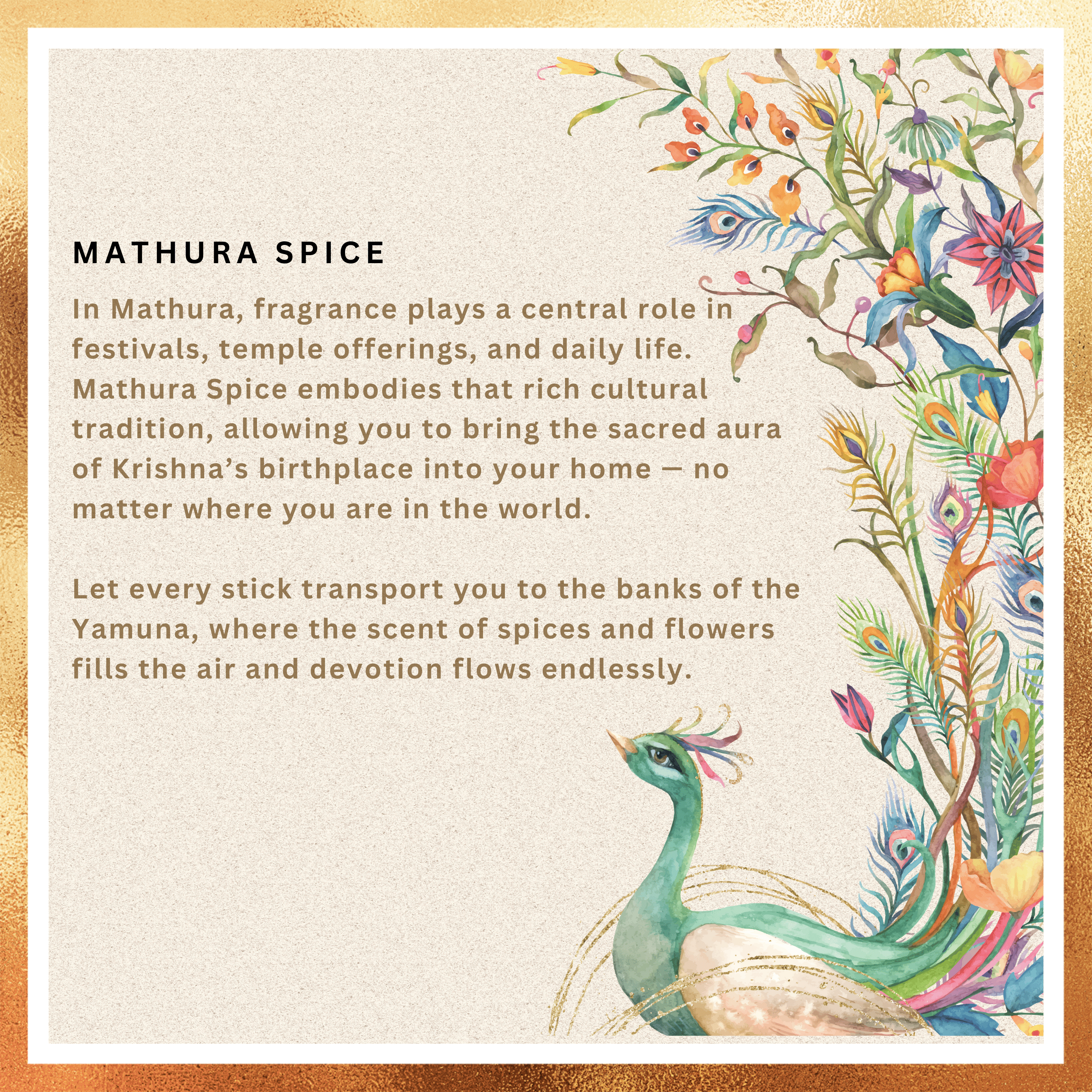 Amreeya Heritage Aura Collection -Mathura Spice  Premium Masala Incense Sticks  – Pack of 2