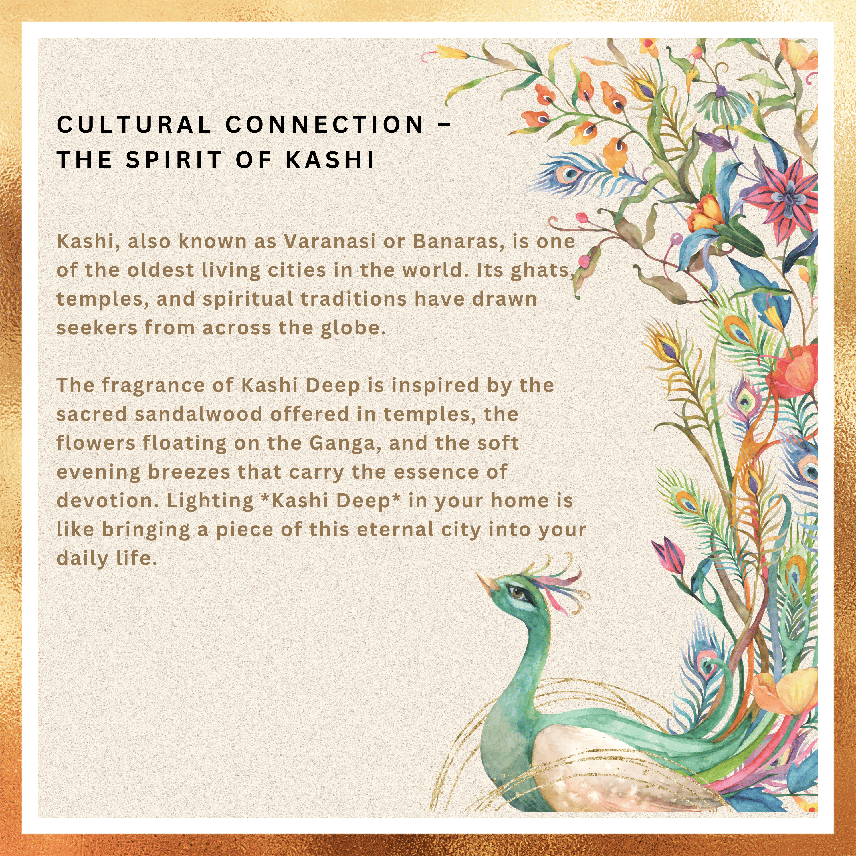 Amreeya Heritage Aura Collection -Kashi Deep Premium Masala Incense Sticks  – Pack of 2