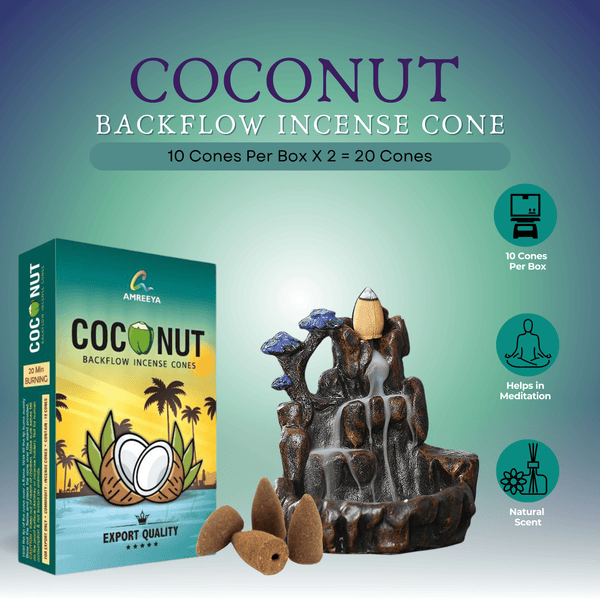 Amreeya Coconut Premium Backflow Cone - 10 Cone/ Box - Pack of 2