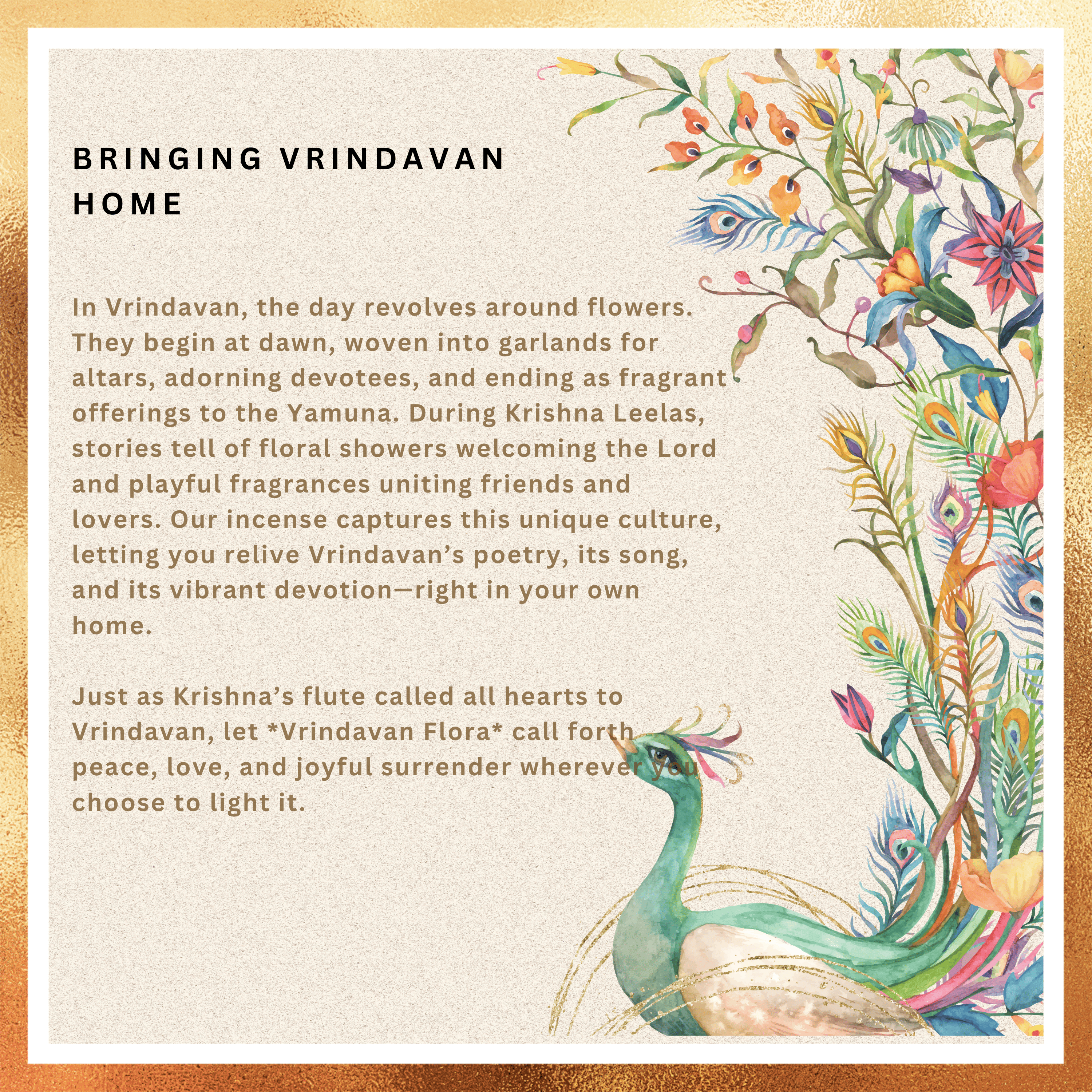 Amreeya Divine Bloom Collection – Vrindavan Flora Fine Flora Incense Sticks – Pack of 2