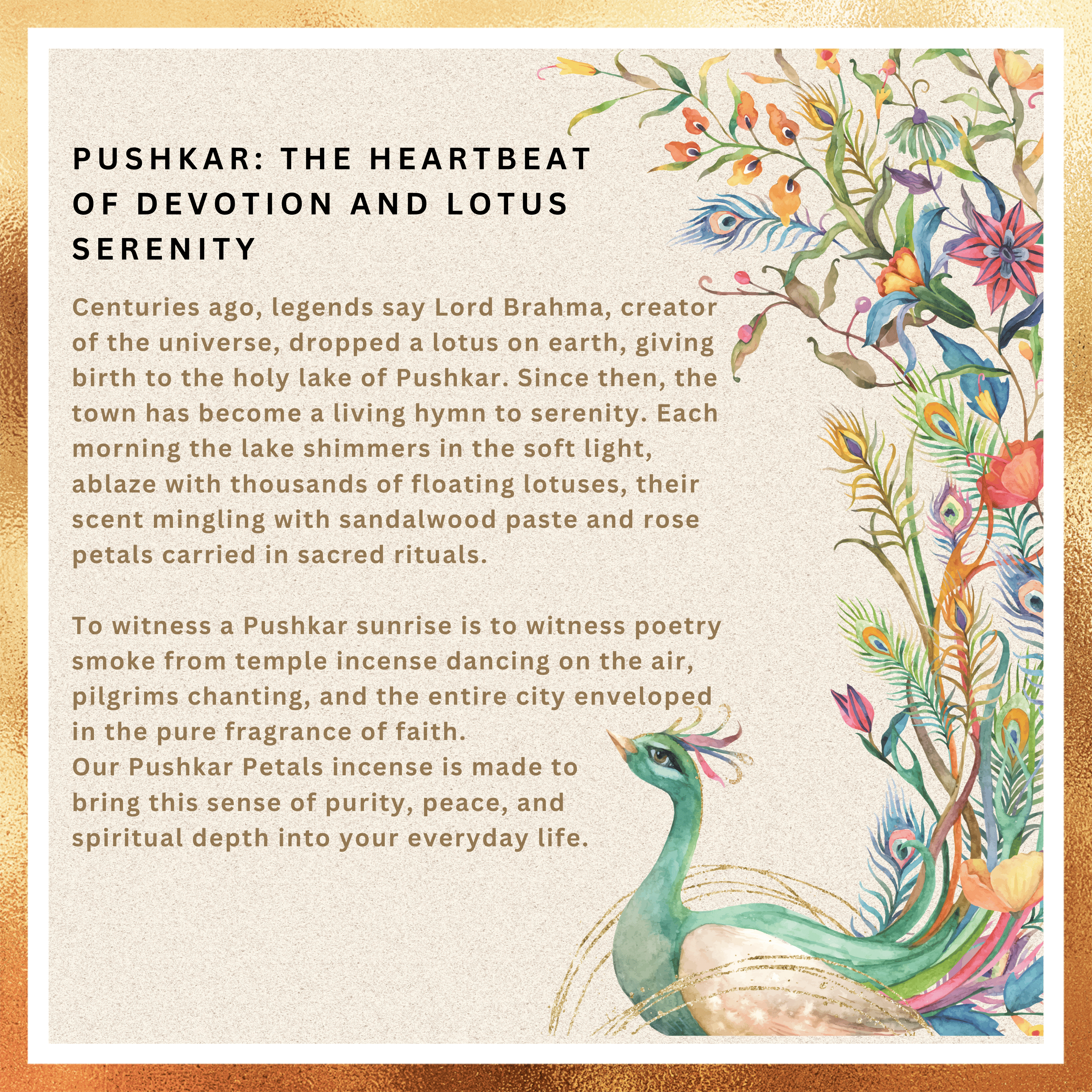 Amreeya Divine Bloom Collection – Pushkar Petals Fine Flora Incense Sticks – Pack of 2