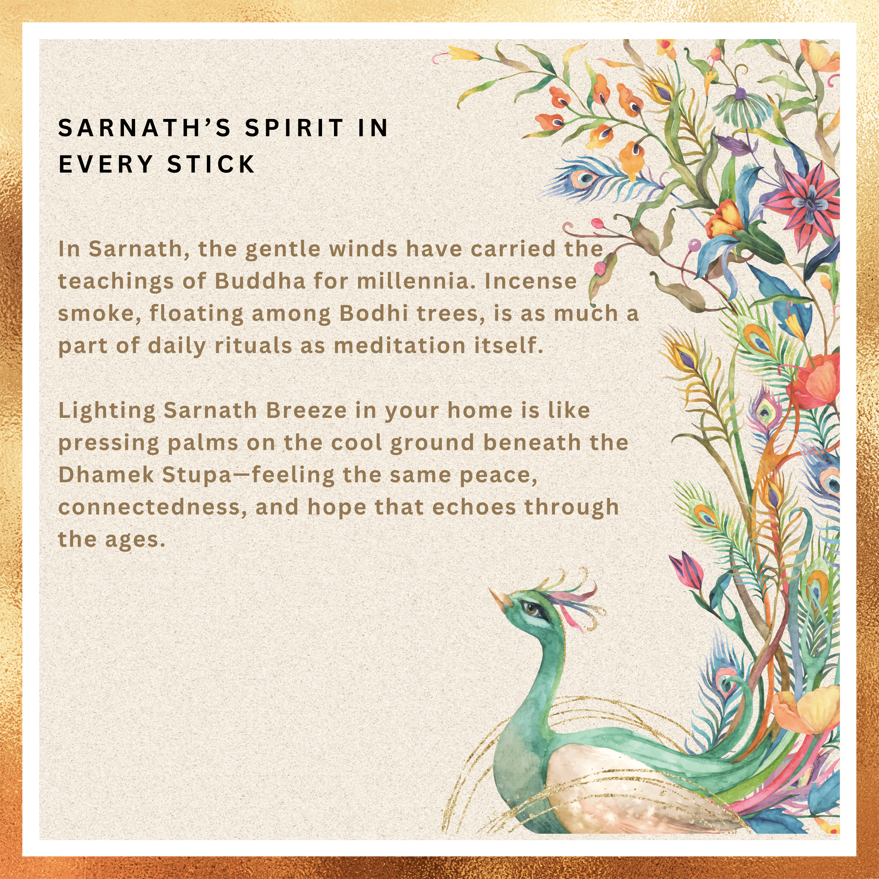 Amreeya Divine Bloom Collection – Sarnath Breeze Fine Flora Incense Sticks – Pack of 2
