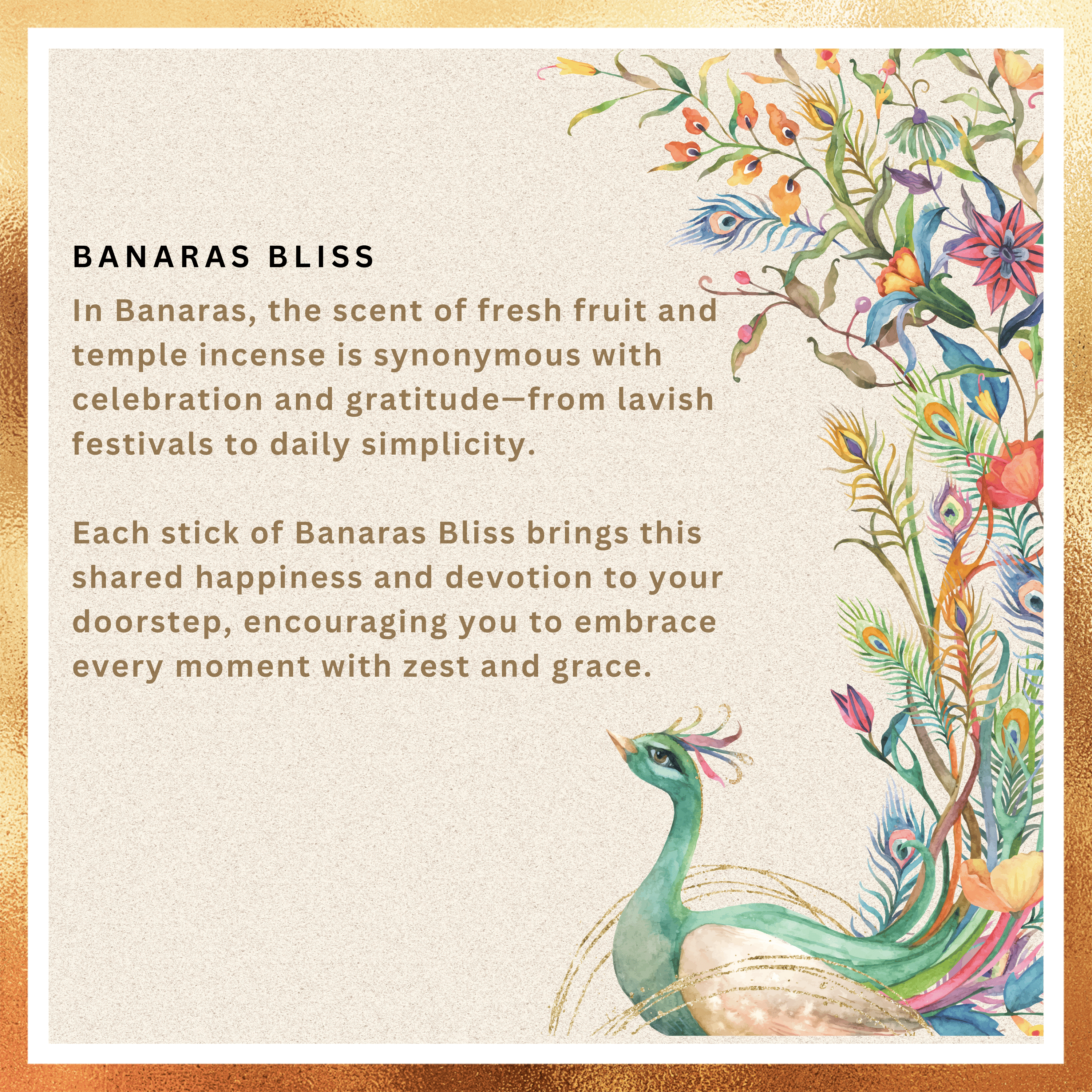 Amreeya Rasa Veda Collection – Banaras Bliss Premium Fruity Incense Sticks – Pack of 2